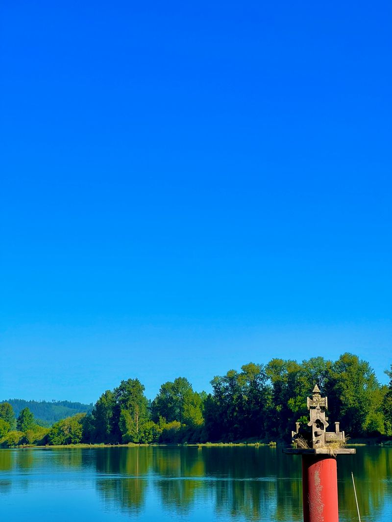 An extremely high-traffic bird house next to a quiet river.