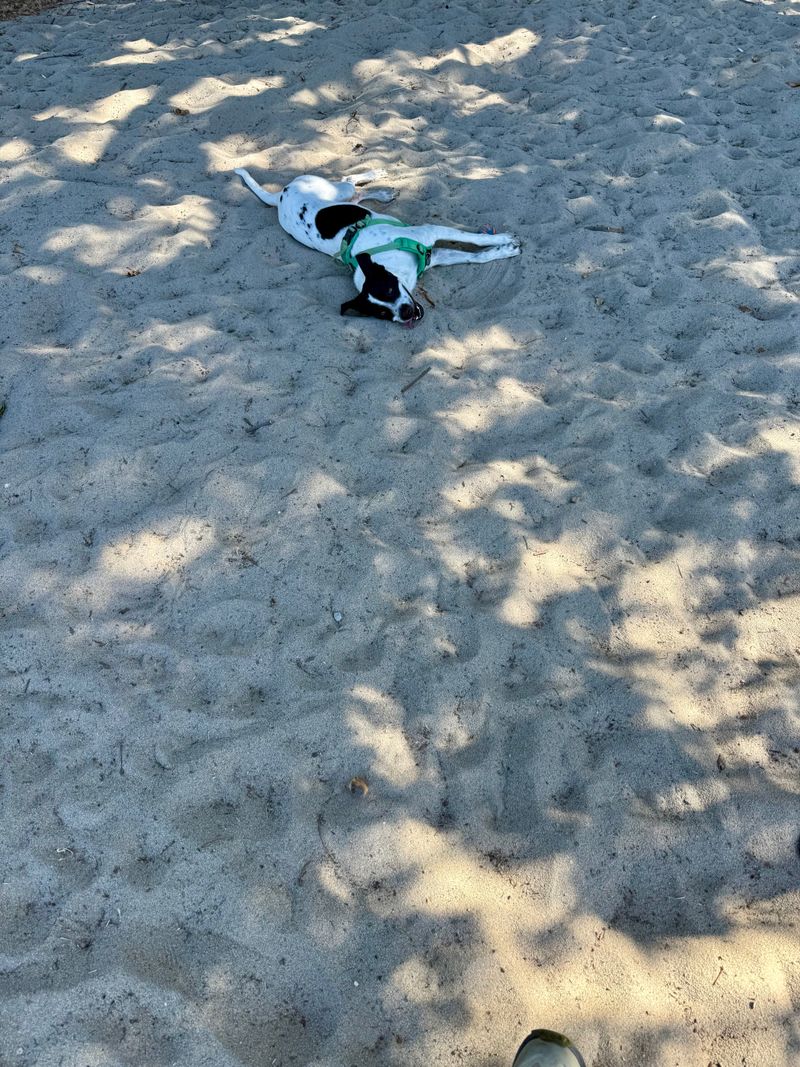 Cowboy lounging in sand, unbothered by how dirty it's making him.