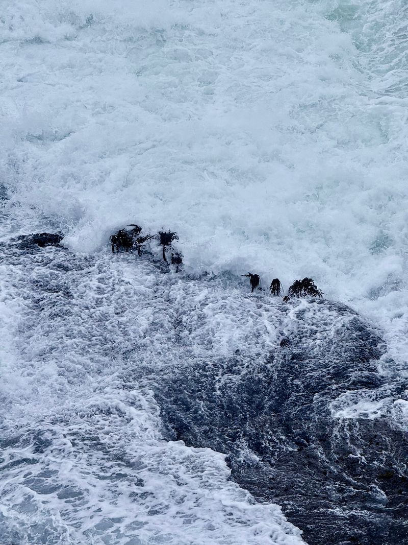 Waves against rocks, also in Mendocino.